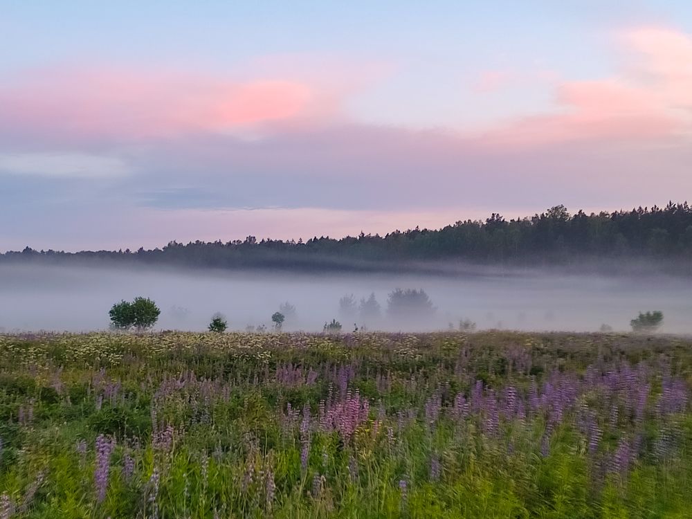 Photograph by Алёна Пшеленская