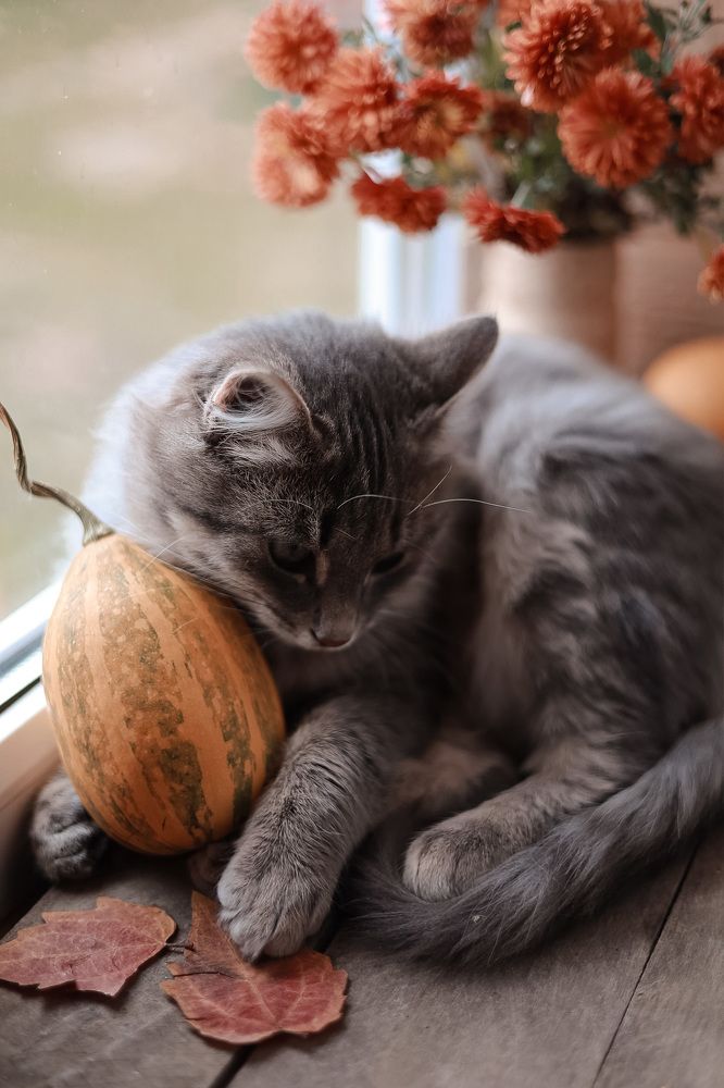 Photograph by Валентина Зуб