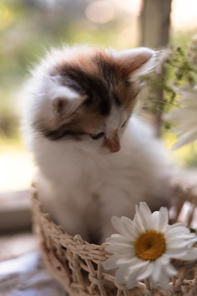 Photograph by Валентина Зуб