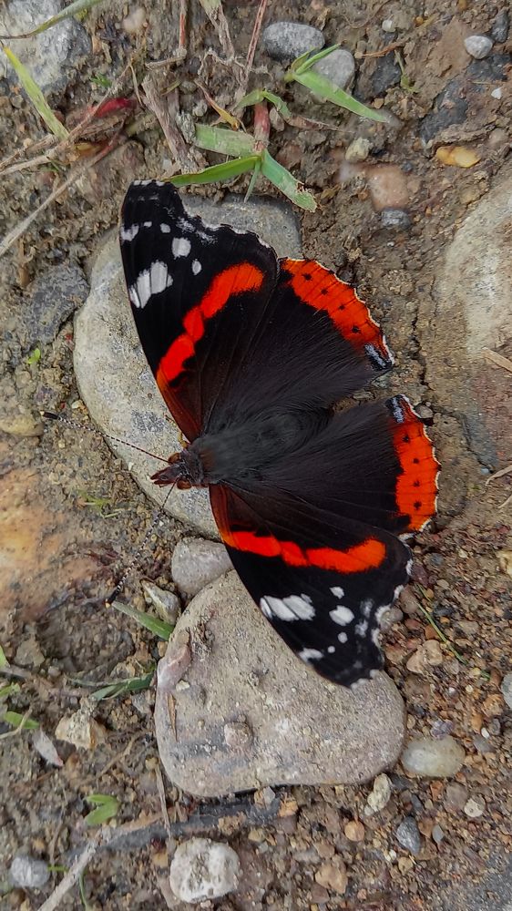 Photograph by mahdi ghanbari