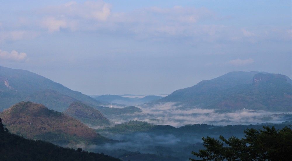 Photograph by Mary Milani Chamindika