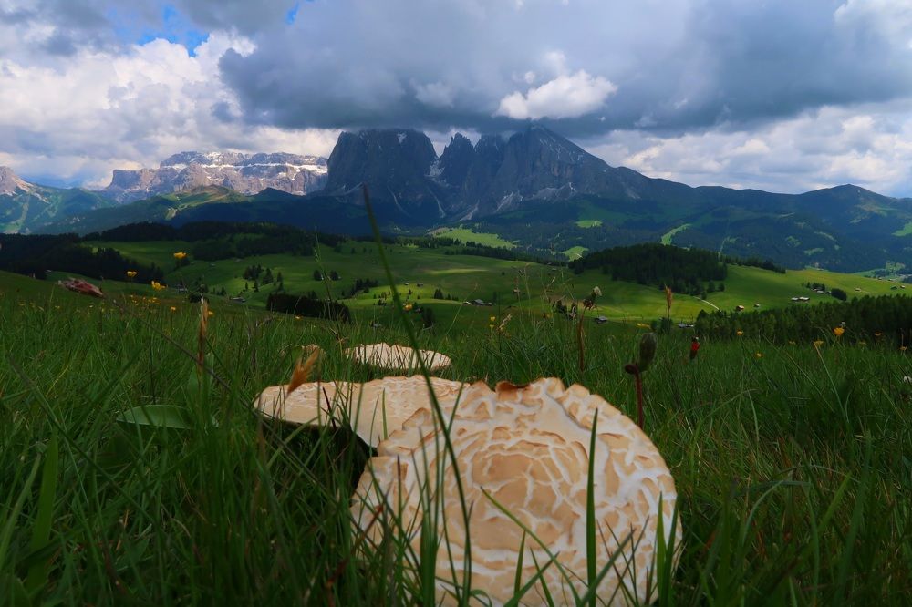 Photograph by Rina Faktor