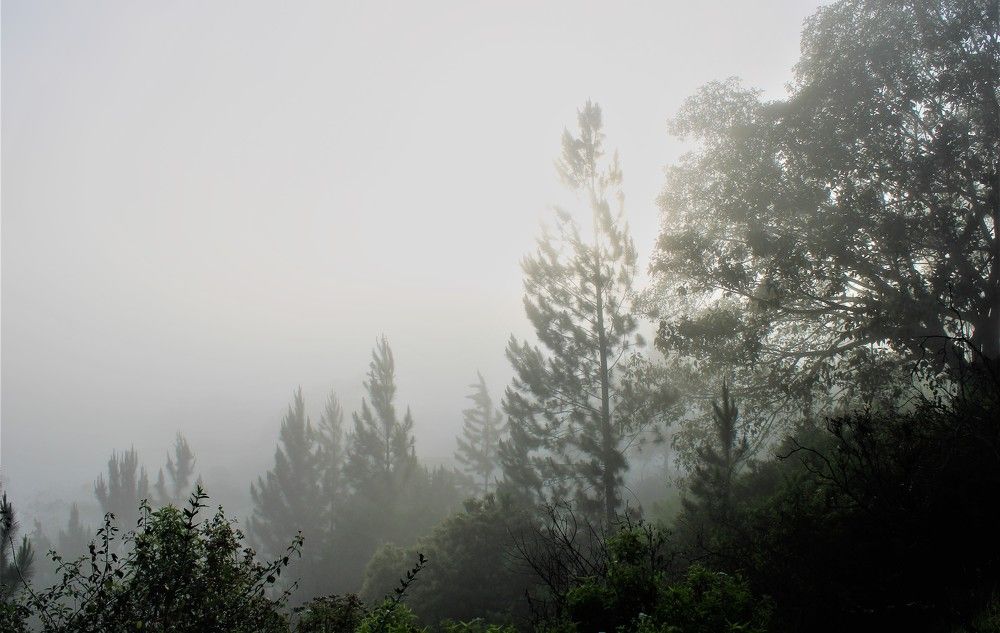 Photograph by Mary Milani Chamindika