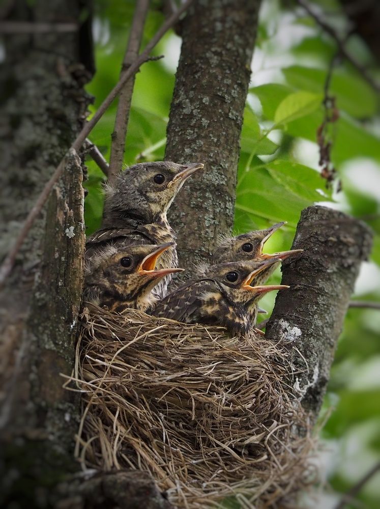 Photograph by Елена Синицына