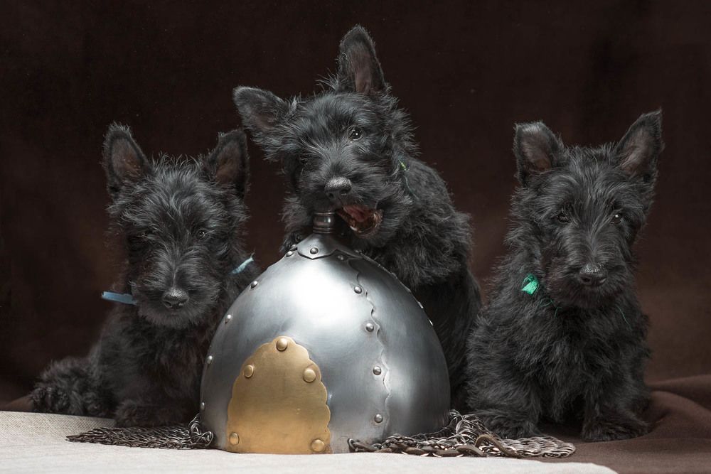 Photograph by Гера Восьмая