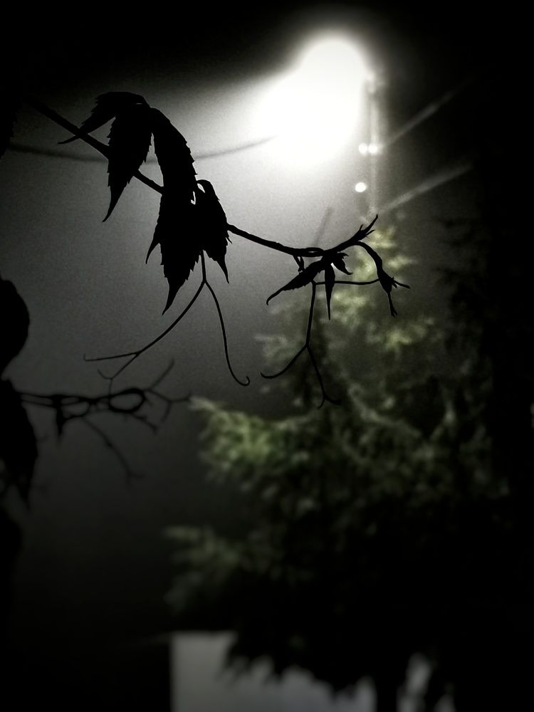 Photograph by Елена Артёменко