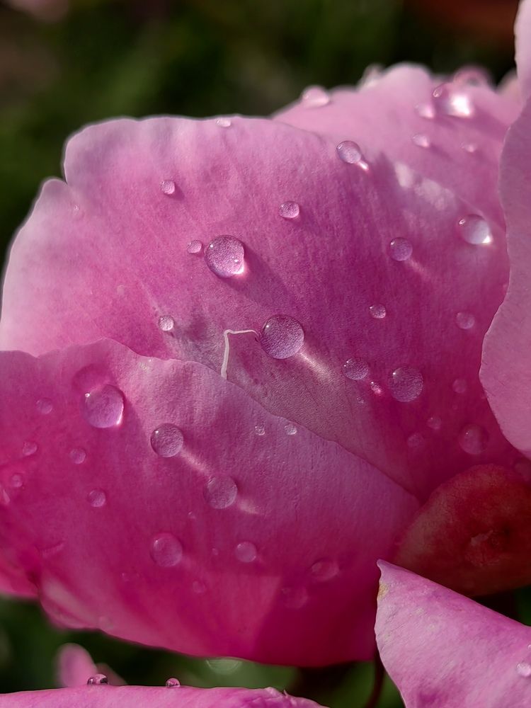 Photograph by Полина Александровна