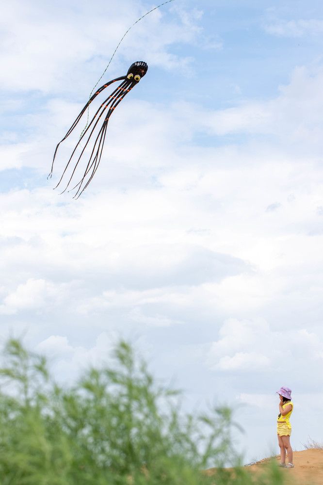 Воздушный змей Кракен