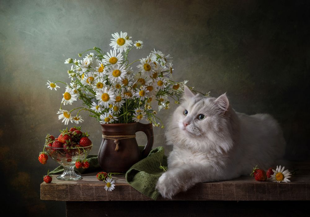 Photograph by Ирина Толокновская