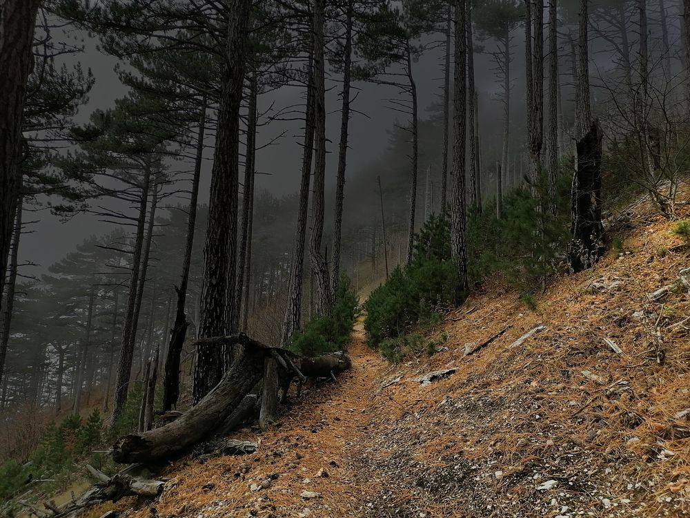 Photograph by Константин