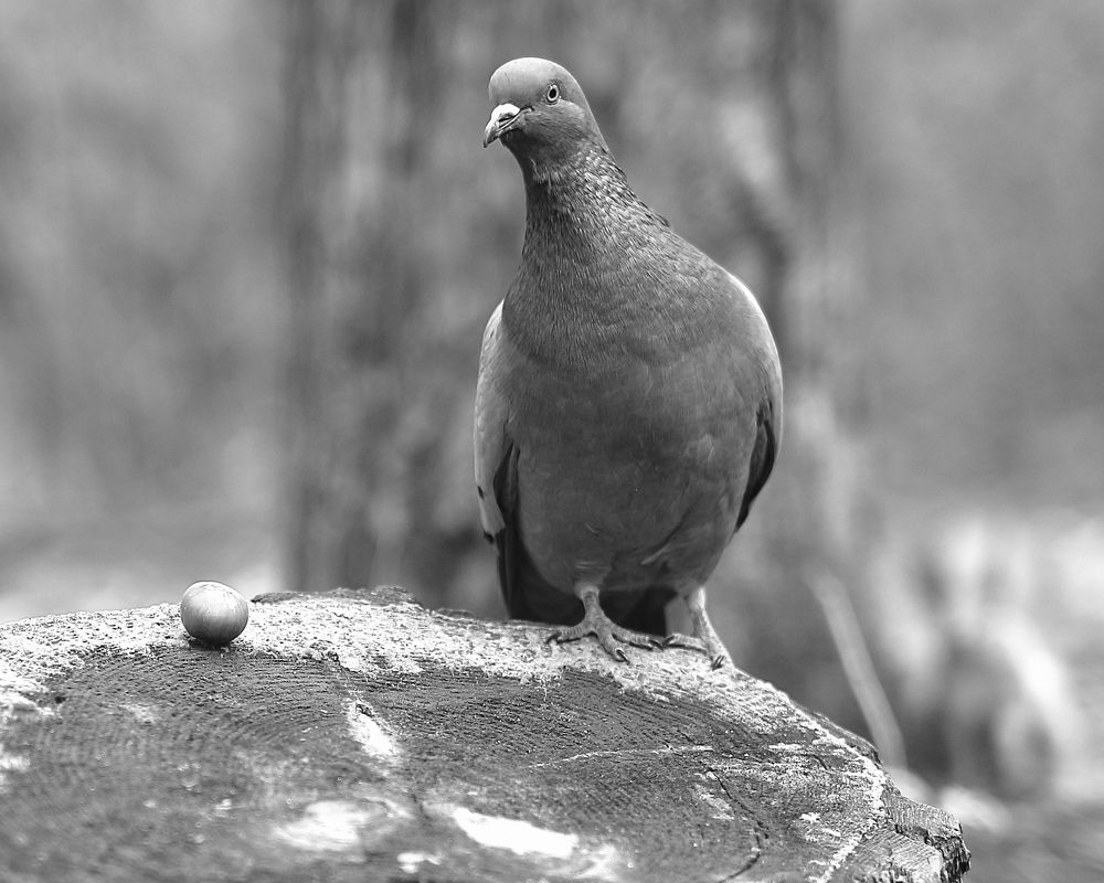 Photograph by Александр Затямин