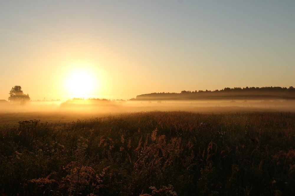 Photograph by Наталия Дударева