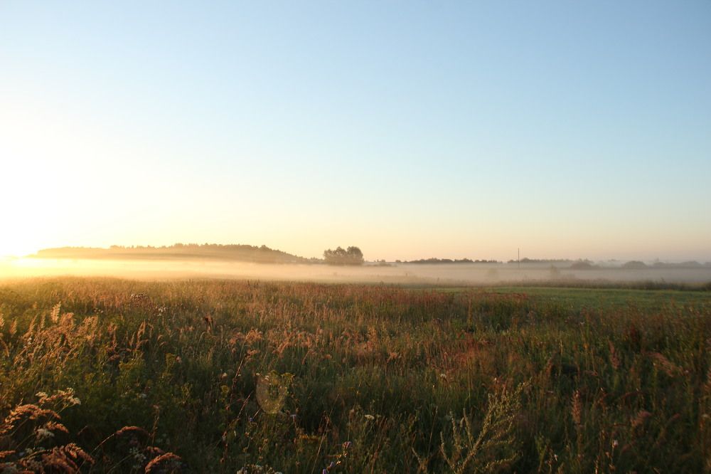 Photograph by Наталия Дударева