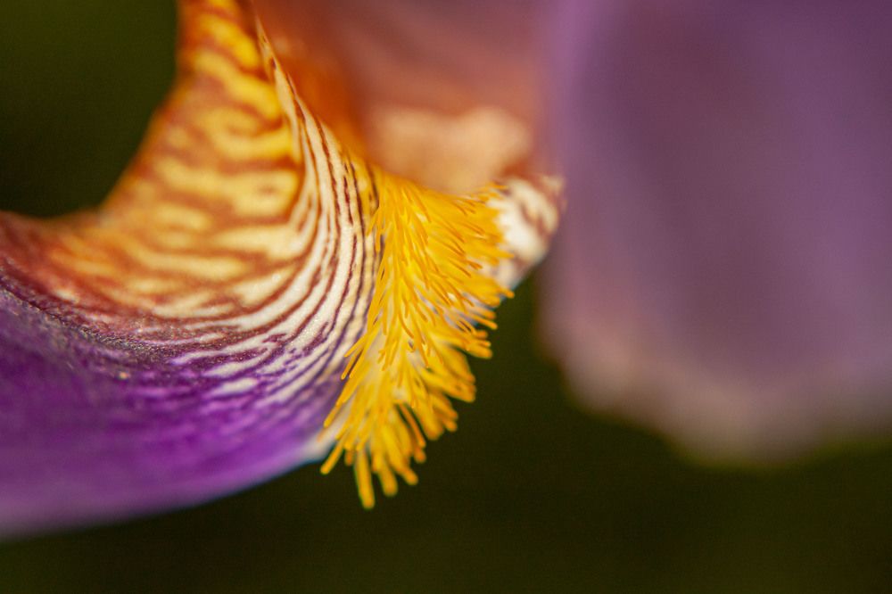 Photograph by Igor Medvedev