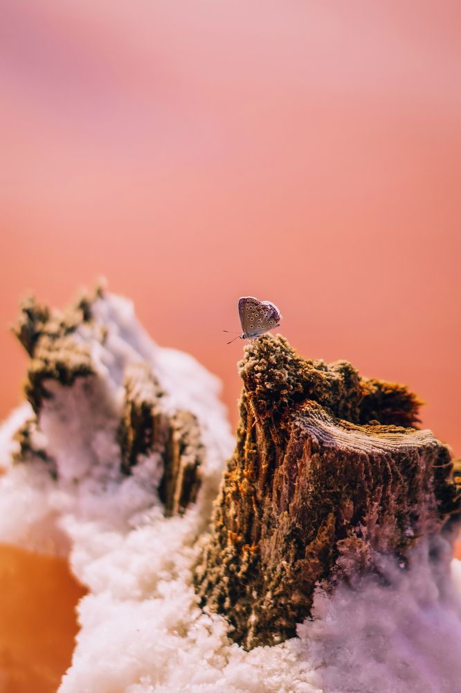 Фотография автора Татьяна Тур