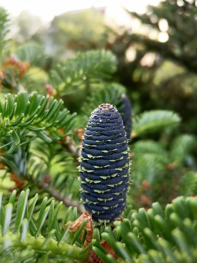 Фотография автора Анастасия Зверева