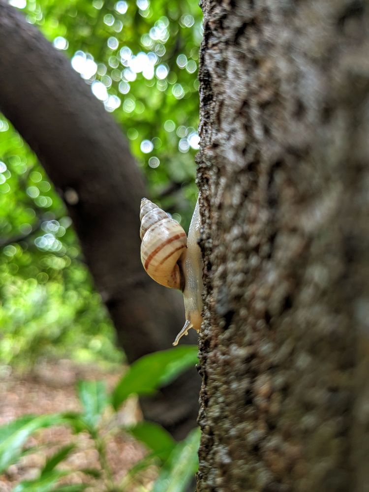 Photograph by MILAN RADADIYA