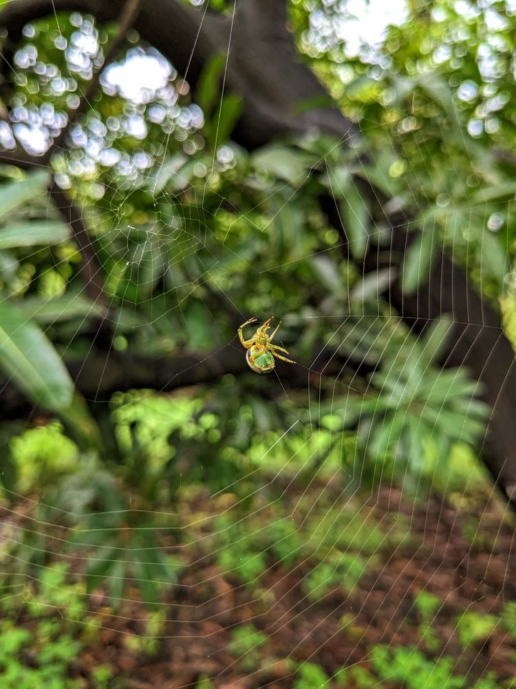 Photograph by MILAN RADADIYA