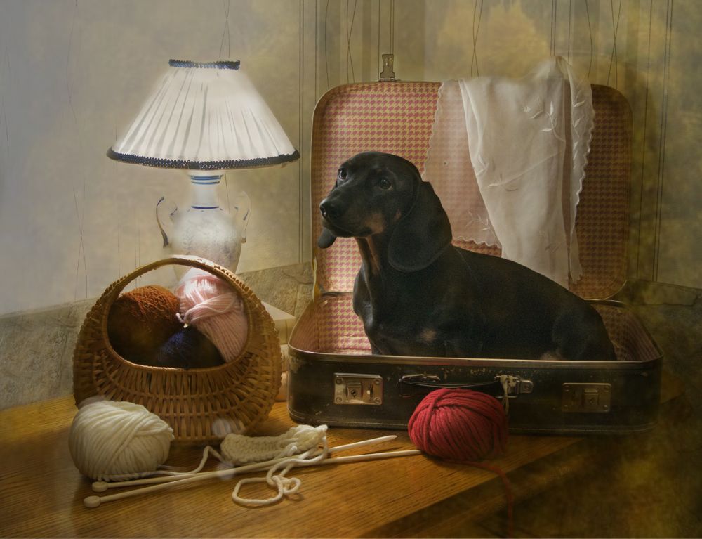 Photograph by Оксана Саранова