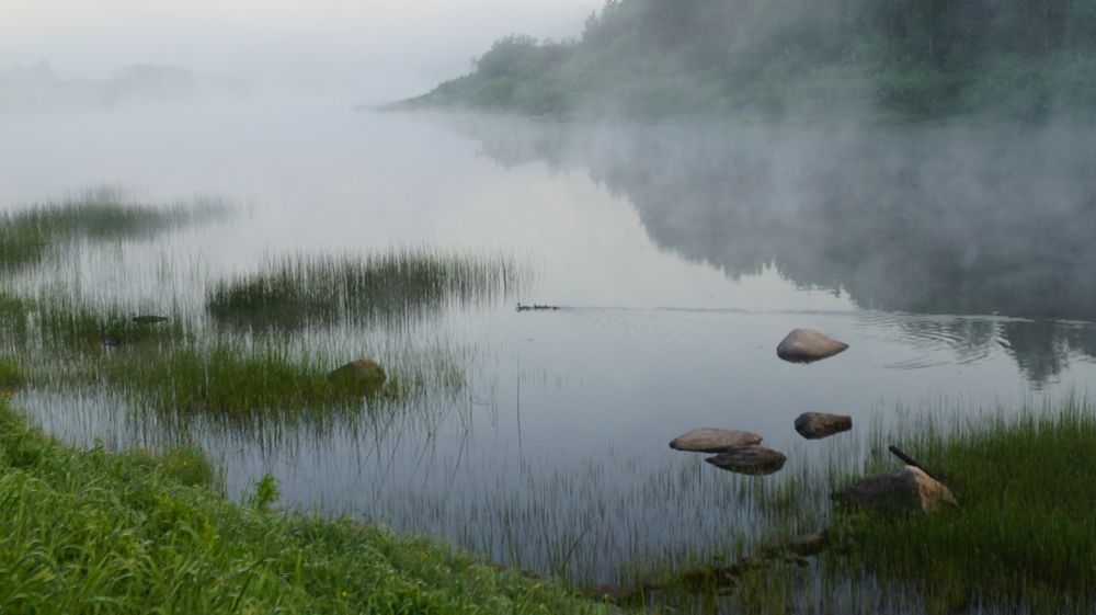 Photograph by Мальцева Ольга