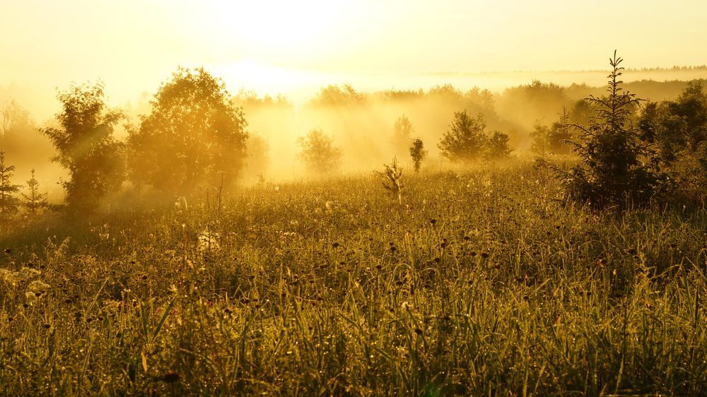 Photograph by Мальцева Ольга