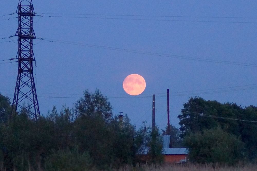 Photograph by Мальцева Ольга