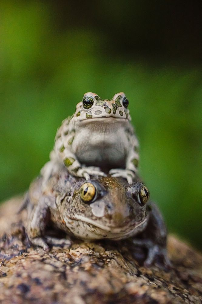 Photograph by Александр Казак