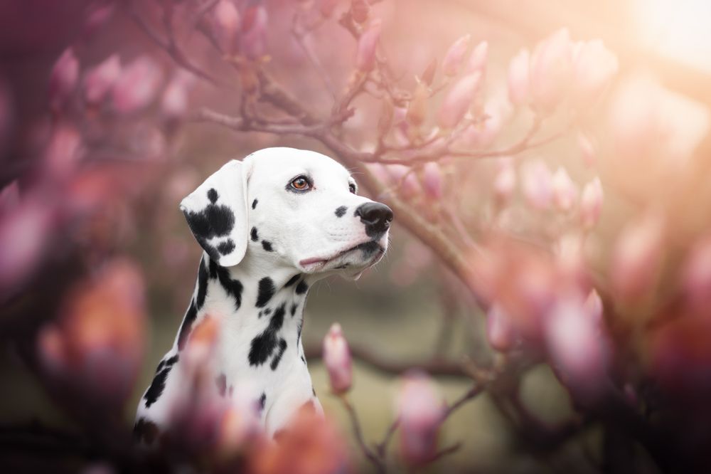 Photograph by Barbora Holinková