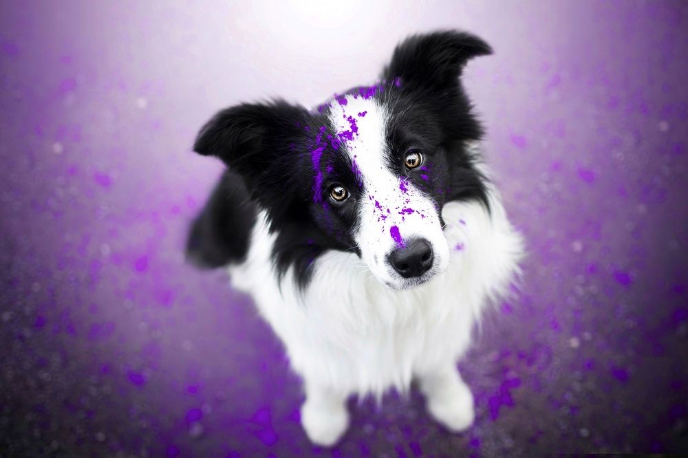 Photograph by Barbora Holinková