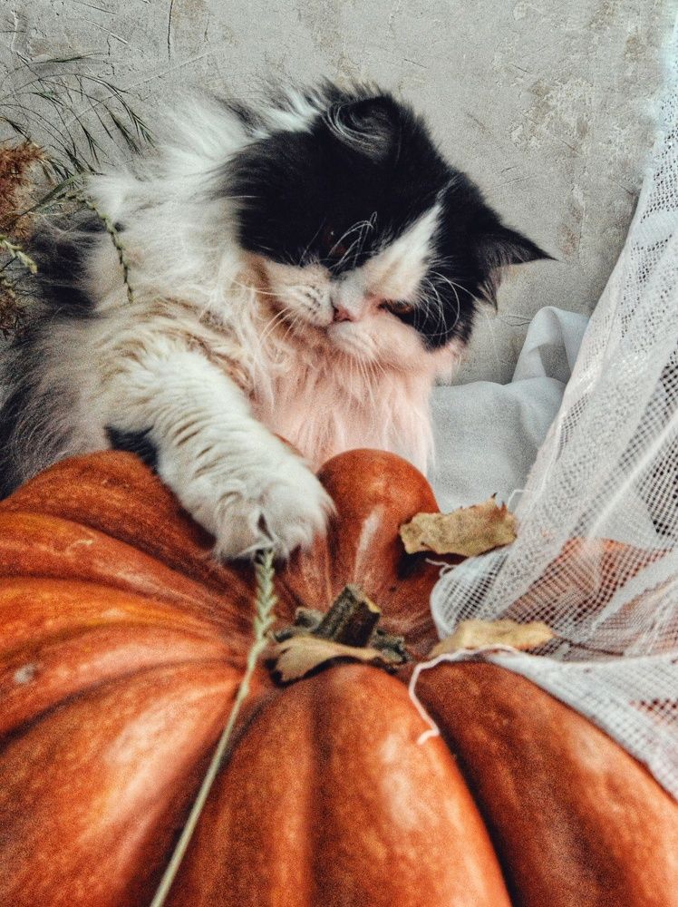 Photograph by Нина Москалёва