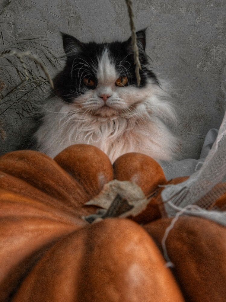 Photograph by Нина Москалёва