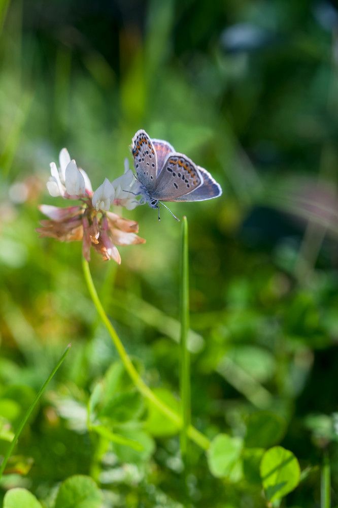 Photograph by Александра Куликова