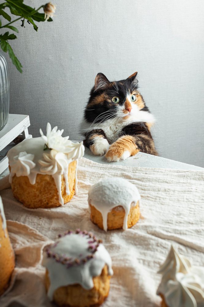 Photograph by Александра Куликова