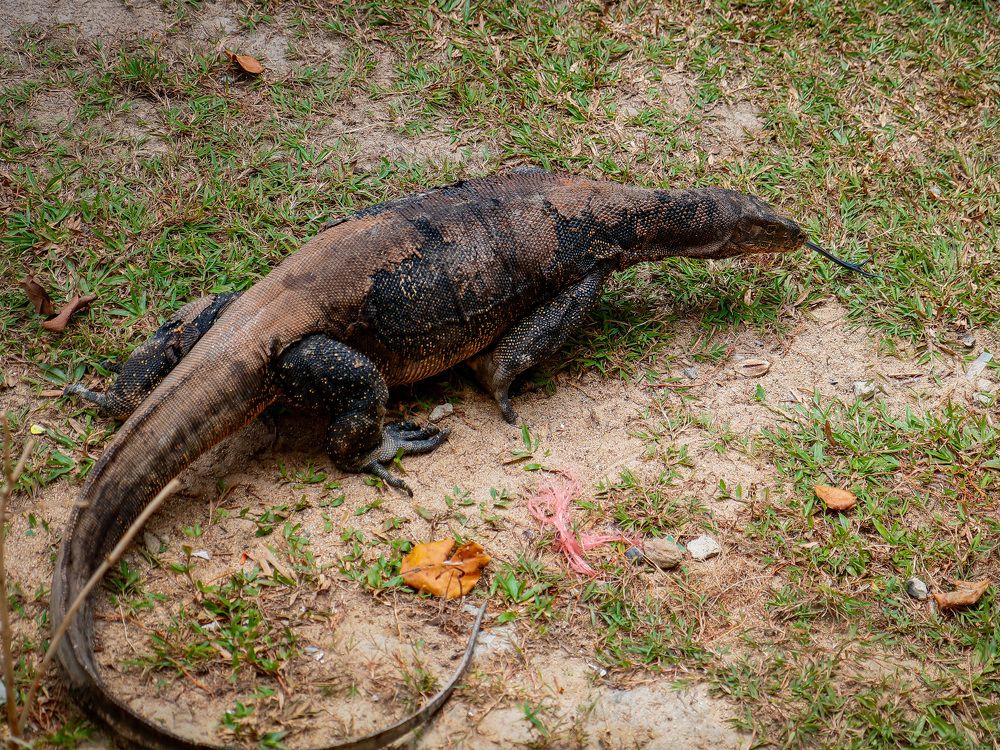 Photograph by Екатерина Слепнева