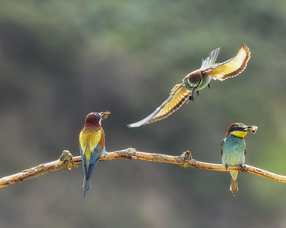Фотография автора Mariusz Zarzycki