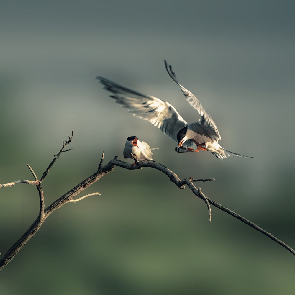 Фотография автора Mariusz Zarzycki