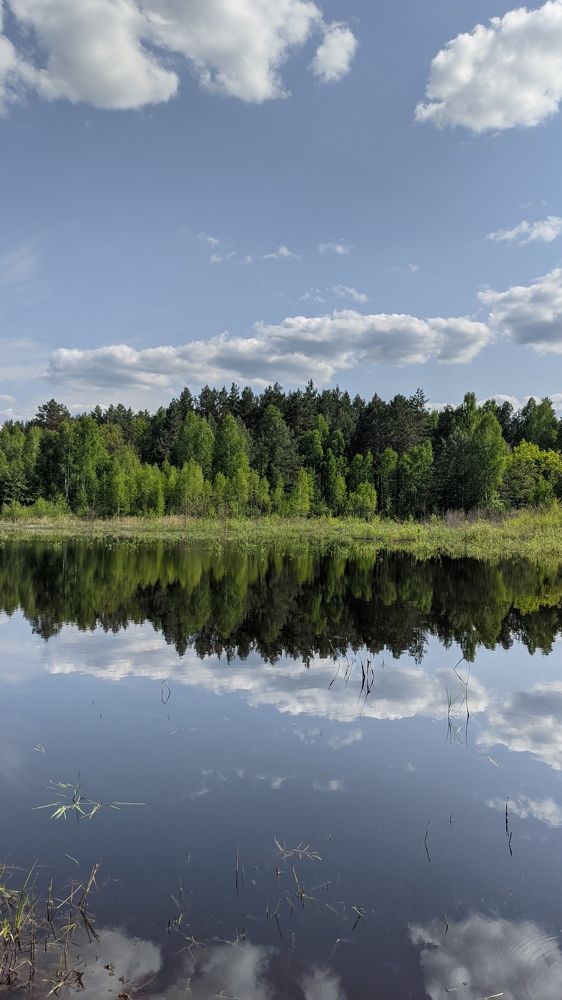 Фотография автора Васильева Ирина