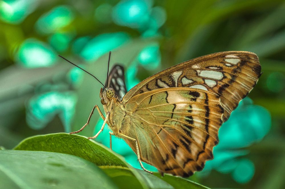 Photograph by Татьяна