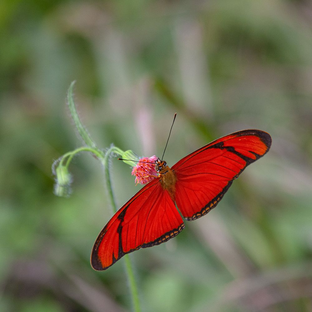 Фотография автора Анатолий Макоедов