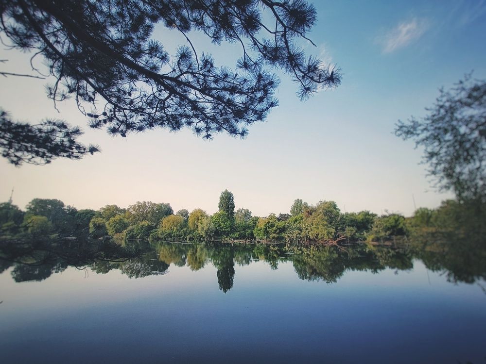 Фотография автора Ankit Gupta