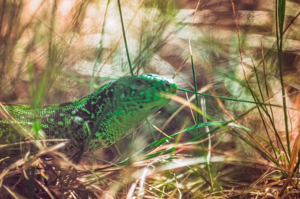 Photograph by Алексей