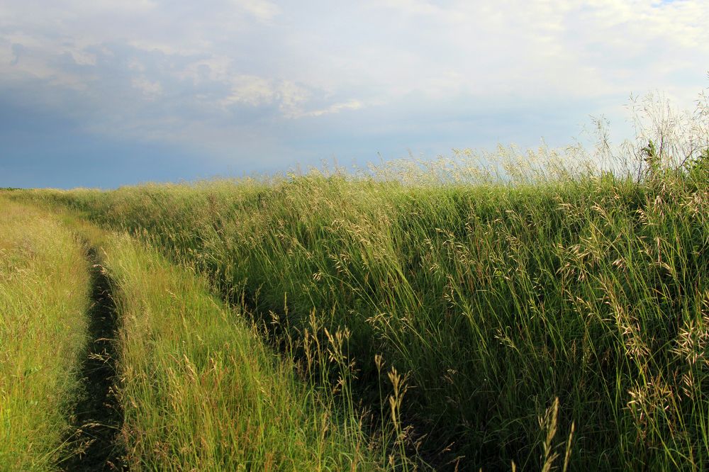 перед грозой