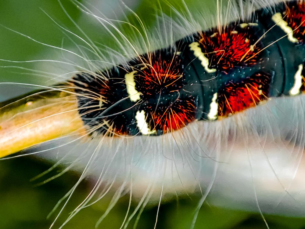 Photograph by Алёна Пшеленская