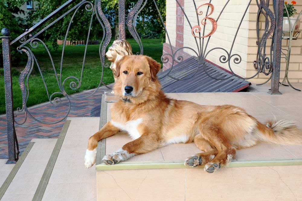 Photograph by николай зайцев