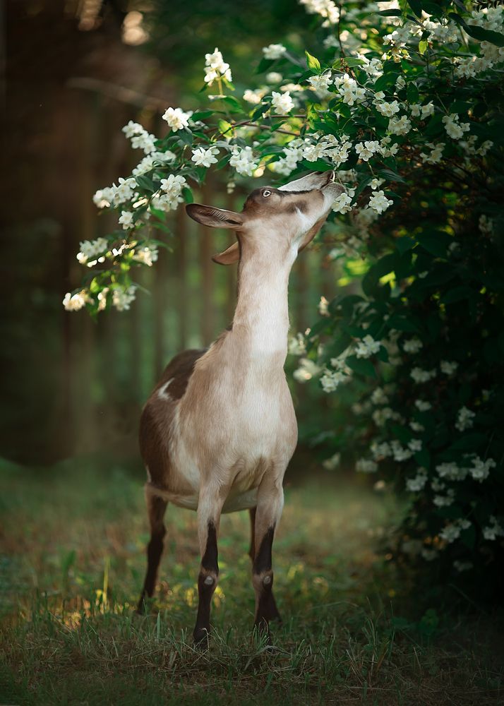 Photograph by Валентина Князева