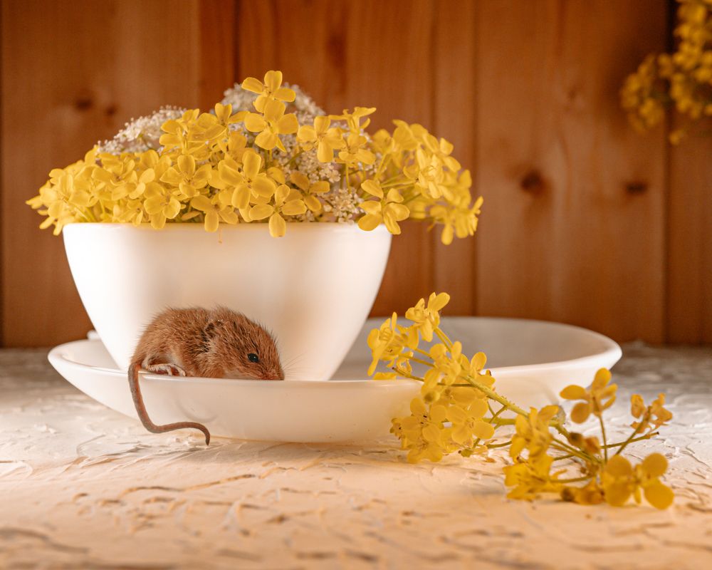 Photograph by Tatiana Grinko