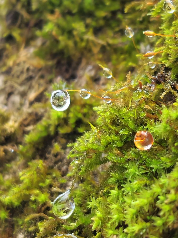 Фотография автора Ольга