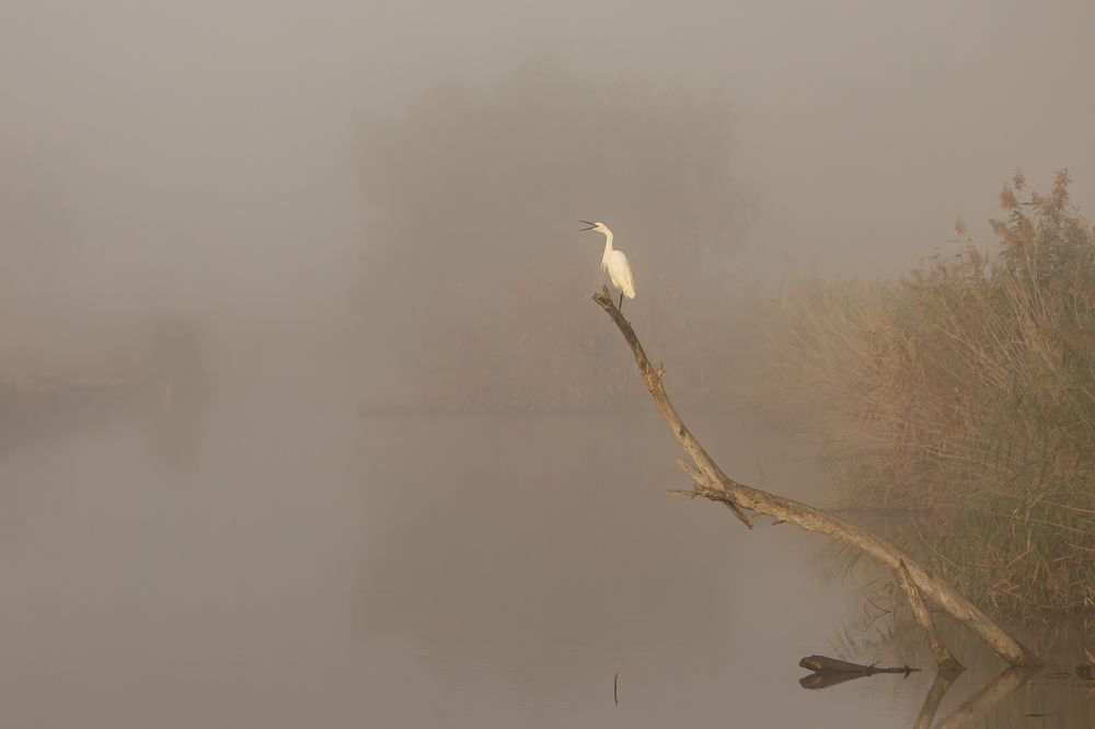 Photograph by Ricardo Ferreira
