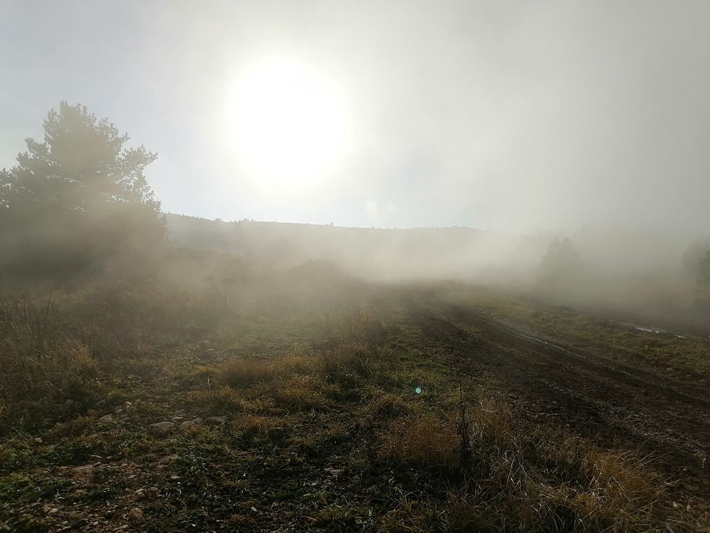 Photograph by Константин