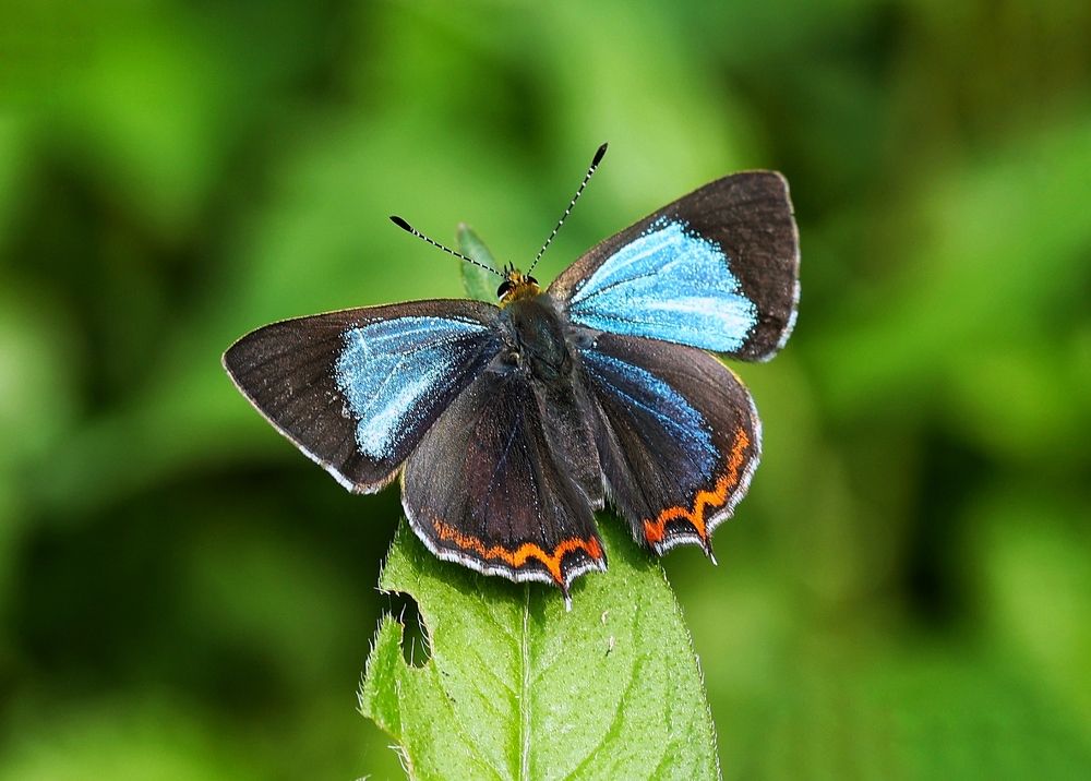 Фотография автора Vivek Kuber